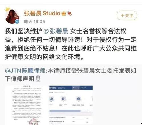 爆料吃瓜道歉图片,公众人物致歉，网络舆论的反思与启示