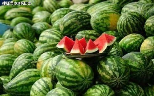 吃瓜网在线看,在线观看，畅享娱乐盛宴